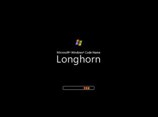 Longhorn